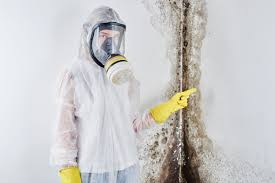 Why You Should Choose Our Mold Remediation Services in Giddings, TX